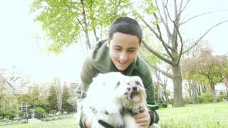 Pet Adoption Commercial [upl. by Niraa]