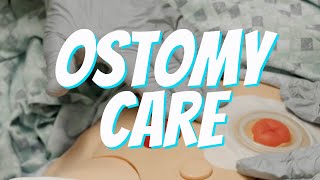 Colostomy and Ileostomy Care and Bag Change  Nurse Skill Demo [upl. by Destinee]