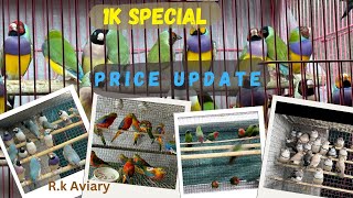 1K Special Price update of exotic birds  Special giveaway announcements Cheapest birds in INDIA [upl. by Llain607]