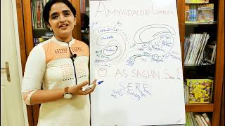 NEUROANATOMYTHE LIMBIC SYSTEMPART2AMYGDALADR ROSE JOSE MD [upl. by Arit780]