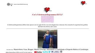 cosè e a chi serve lelettrocardiogramma ECG [upl. by Burney708]