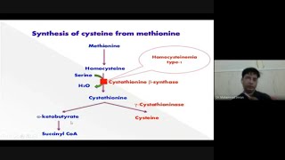 Cysteine Metabolism in a glance [upl. by Eidnew]