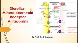 Mineralocorticoid Recepror Antagonists [upl. by Branca]