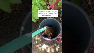 How to use a coco coir brick coir gardeningtips gardener gardeningdiy [upl. by Philbert]