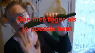 karaoke Doe niet tijger als je poessie bent [upl. by Yrgoerg]