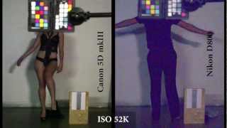 The Famping Nikon D800 vs Canon 5D mkIII Shootout [upl. by Mae]