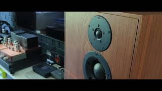 Revival audio atalante 5 amp Unison research Synfonia Anniversary [upl. by Ohs]