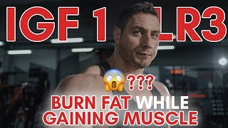 Burn Fat while Building Muscle IGF1  LR3 [upl. by Neelcaj]