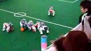 AIBO Soccer [upl. by Lal]