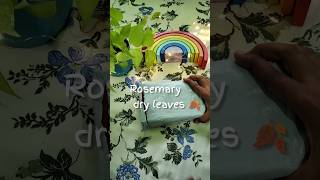 Unboxing Rosemary leaves rosemarywaterforhairgrowth aesthetictrending viralshorts ytshorts [upl. by Loftis130]