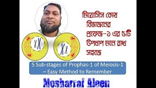 প্রফেজ ১ এর ৫টি উপপর্যায় মনে রাখ সহজে 5 Substages of Prophas1 of Meiosis1 [upl. by Polloch]