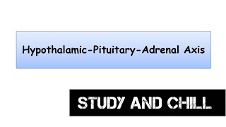 Hypothalamus pituitary Adrenal AxisHPA axis HumanphysiologyEndocrinesystemAnimation [upl. by Alex831]