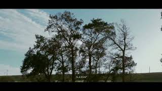 Cinematic video  Canon 250D SL3 with kit lens [upl. by Nagyam]