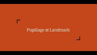 Pupillage at Landmark Chambers [upl. by Betta]