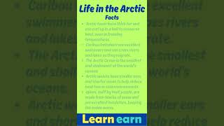 Life in Arctic arctic famousshorts facts quiz [upl. by Tubb707]