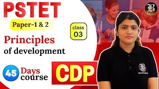 CDP  Lec3 Principles of Development  PSTET Paper1 amp 2  45 Days Crash Course  Bansal academy [upl. by Hannus936]