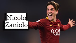 Nicolo Zaniolo  Skills and Goals  Highlights [upl. by Bohs206]