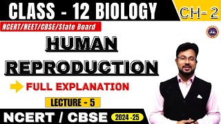 HUMAN REPRODUCTION I LECTURE  5 I BIOLOGY I CLASS 12 I NCERTNEETCBSEState Board [upl. by Melak503]