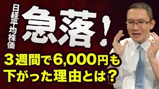 【日経平均株価が急落！】～3週間で6000円下がった理由とは？～ 2024年8月3日 [upl. by Ihcalam735]