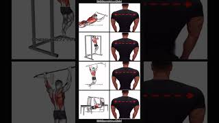 back muscle home workout  4 tips  trending short vedio  viral [upl. by Isleana948]