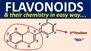 Flavonoids and their chemistry in easy way [upl. by Ami981]