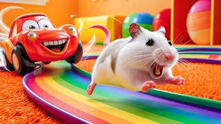 🌈 Hamster Maze with Colorful Traps 🐹 The Best Hamster Challenges 😱 42 [upl. by Airekahs233]