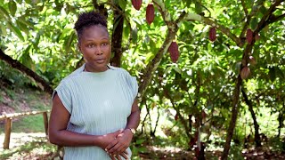 I Love Tobago  Tobago Cocoa Estate Celebrates Harvest [upl. by Asirret]