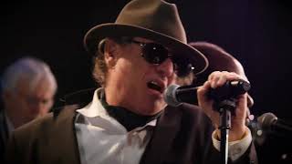 Wild Night Van Morrison Tribute Show Sizzle 4min [upl. by Akenom942]