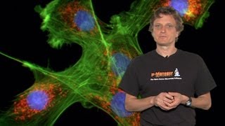 Microscopy Introduction to Fluorescence Microscopy Nico Stuurman [upl. by Keare632]