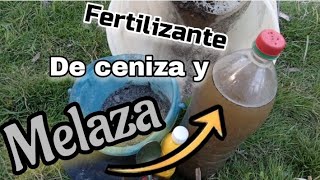 como hacer FERTILIZANTE de ceniza y melaza [upl. by Okwu735]