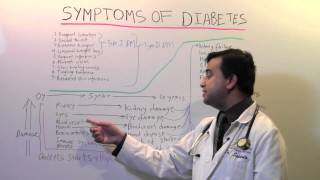 Symptoms of diabetes [upl. by Malone]