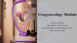 Urogynecology Introduction amp Template Part 3 MRCOG Tasks amp Modules [upl. by Alo]