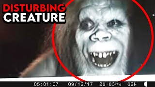 Most Shocking Camping Encounters Ever Caught on Camera [upl. by Engeddi222]