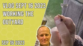 Vlog Sept 19 2023  Working the Out Yard  Jacksonville FL Zone 9a [upl. by Zhang794]