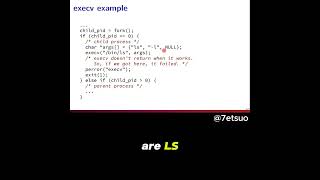 How to Use execv in C to Run Programs in a Forked Process [upl. by Orgel]