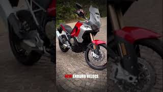 New Adventure Bike from MV Agusta  Enduro Veloce [upl. by Elraet447]