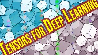 Rank Axes and Shape Explained  Tensors for Deep Learning [upl. by Glory]