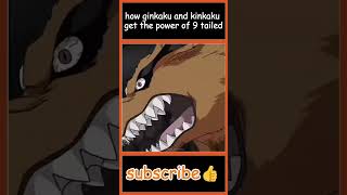 how ginkaku and kinkaku get the power of 9 tailed 🤔 animetelugu teluguanimecommunity [upl. by Brynne604]