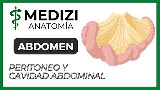 Anatomía del Abdomen  Peritoneo y Cavidad abdominal MESOS Y EPIPLONES [upl. by Alyar491]