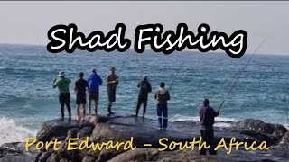 Fishing in KZN Port Edward  KwaZuluNatal South Coast  Angling  Open Fishing Season 2022 [upl. by Bez]