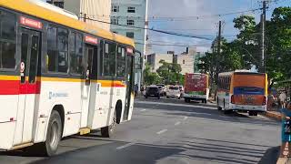 RECIFE ANTIGO BAIRRO DA BOA VISTA E SANTO ANTÔNIO [upl. by Noonberg]