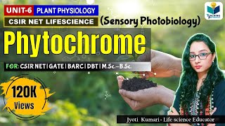 PHYTOCHROME  CSIRNET  GATE  Plant Biology  Sensory photobiology [upl. by Hairym]