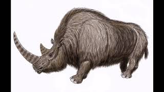 Sound Effects  Woolly Rhinoceros remade [upl. by Anits]