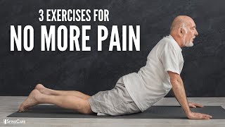 The 3 Best Back Exercises For NO MORE PAIN [upl. by Amena]