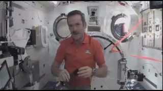 William Shatner talks with astronaut Chris Hadfield in orbit [upl. by Airreis352]