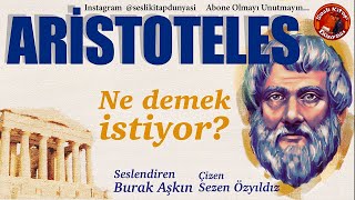 ARİSTOTELES  Ne Demek İstiyor  Filozoflar Serisi 4 [upl. by Gian]