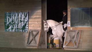 Eight Horse Quadrille at the 2009 Equine Harvest Festival [upl. by Aryad]