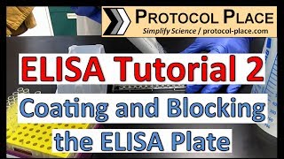 ELISA Tutorial 2 Coating and Blocking the ELISA Plate [upl. by Debbee]