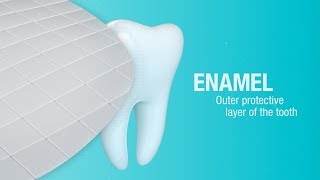 How Does Pronamel® Toothpaste Help Strengthen Enamel  Pronamel® [upl. by Annairdua]