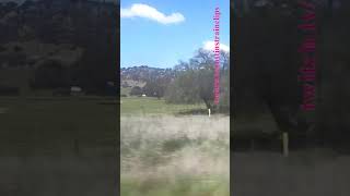 VLINE Albury NSW To Southern Cross 101024 vline shorts shortvideo train travel views [upl. by York]